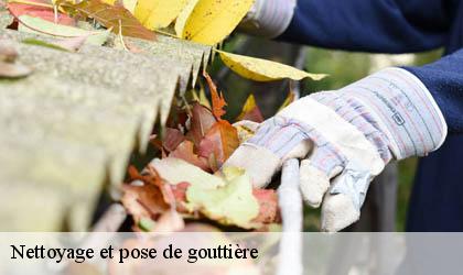 Nettoyage et pose de gouttière