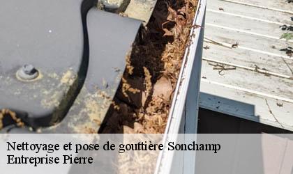 Nettoyage et pose de gouttière 78120