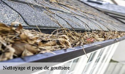 Nettoyage et pose de gouttière 78120