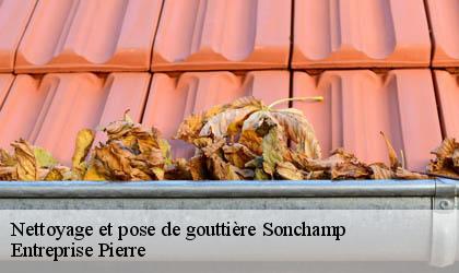 Nettoyage et pose de gouttière