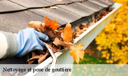 Nettoyage et pose de gouttière
