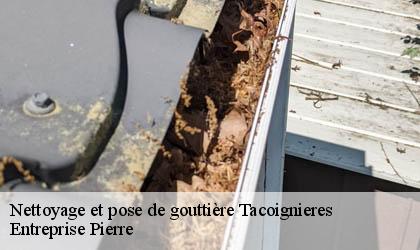 Nettoyage et pose de gouttière 78910