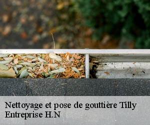 Nettoyage et pose de gouttière  tilly-78790 Entreprise H.N