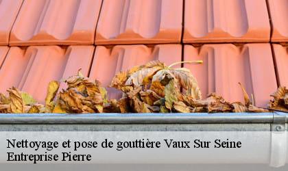 Nettoyage et pose de gouttière