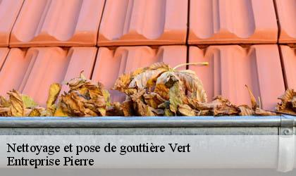 Nettoyage et pose de gouttière