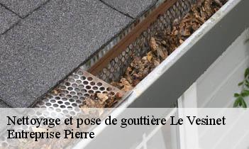 Nettoyage et pose de gouttière le-vesinet-78110 Entreprise Pierre