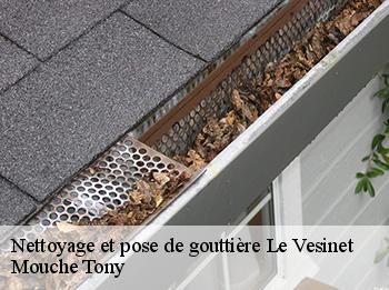 Nettoyage et pose de gouttière  le-vesinet-78110 Mouche Tony