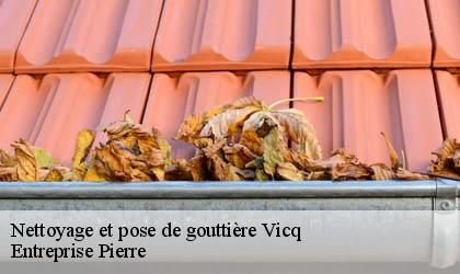 Nettoyage et pose de gouttière