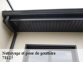 Nettoyage et pose de gouttière