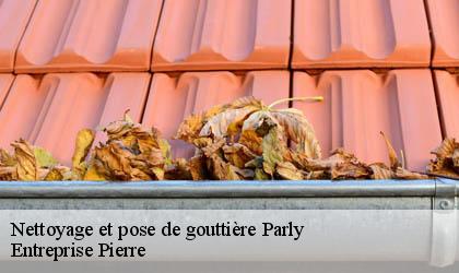 Nettoyage et pose de gouttière