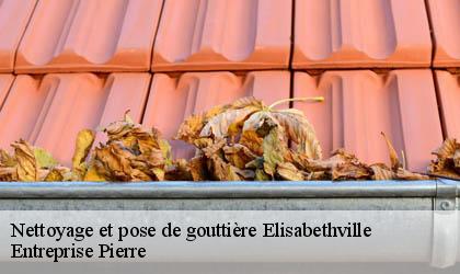 Nettoyage et pose de gouttière