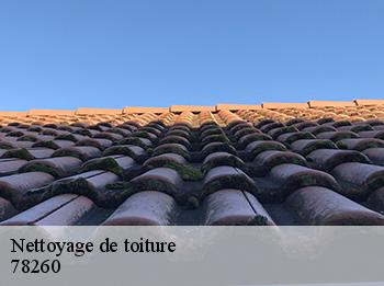 Nettoyage de toiture