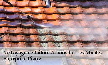 Nettoyage de toiture  arnouville-les-mantes-78790 Entreprise H.N