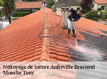 Nettoyage de toiture 78930