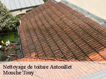 Nettoyage de toiture