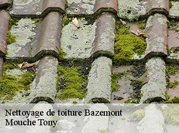 Nettoyage de toiture bazemont-78580 Mouche Tony