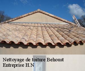Nettoyage de toiture  behoust-78910 Entreprise H.N