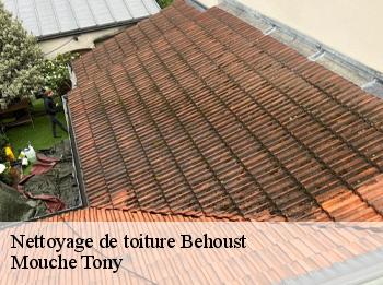 Nettoyage de toiture