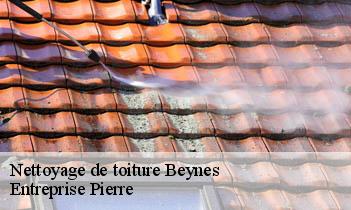 Nettoyage de toiture  beynes-78650 Entreprise H.N