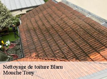 Nettoyage de toiture