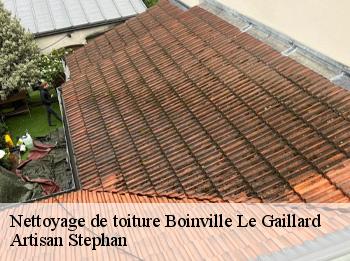 Nettoyage de toiture