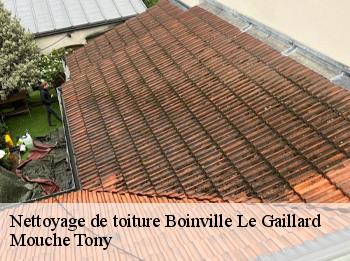 Nettoyage de toiture