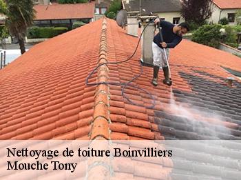 Nettoyage de toiture  78200