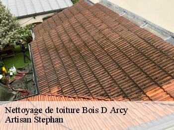 Nettoyage de toiture