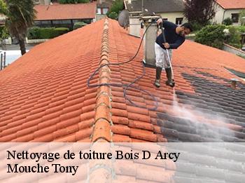 Nettoyage de toiture 78390