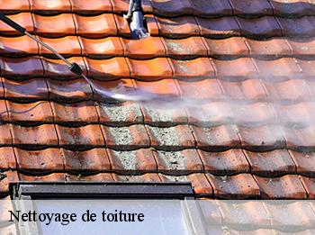 Nettoyage de toiture