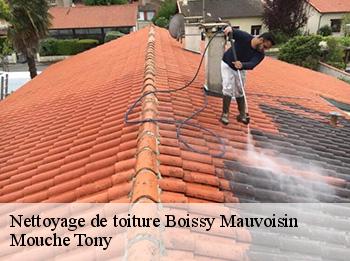 Nettoyage de toiture  78200