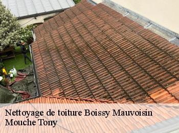 Nettoyage de toiture