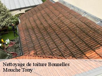Nettoyage de toiture
