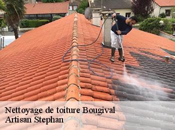 Nettoyage de toiture  78380