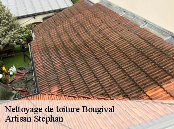 Nettoyage de toiture