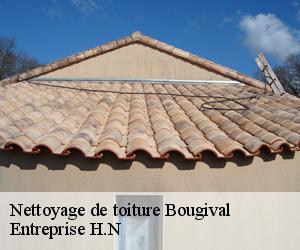 Nettoyage de toiture  bougival-78380 Entreprise H.N
