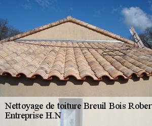 Nettoyage de toiture  breuil-bois-robert-78930 Entreprise H.N