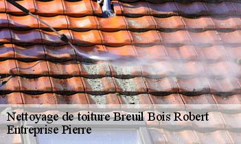 Nettoyage de toiture  breuil-bois-robert-78930 Entreprise H.N