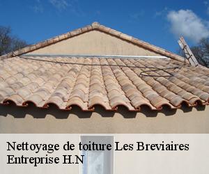 Nettoyage de toiture  les-breviaires-78610 Entreprise H.N