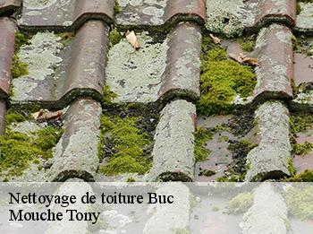 Nettoyage de toiture  buc-78530 Mouche Tony