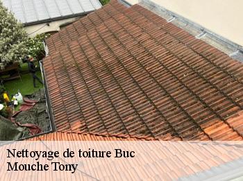 Nettoyage de toiture