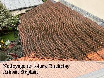 Nettoyage de toiture