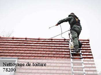 Nettoyage de toiture  78200