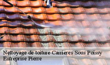 Nettoyage de toiture carrieres-sous-poissy-78955 Entreprise Pierre