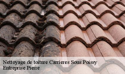 Nettoyage de toiture 78955