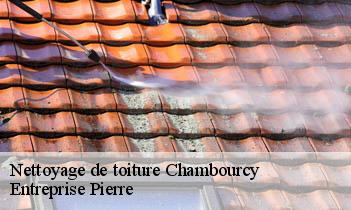 Nettoyage de toiture  chambourcy-78240 Entreprise H.N