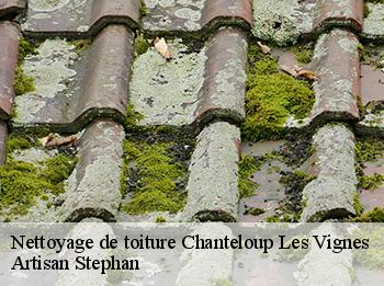 Nettoyage de toiture  chanteloup-les-vignes-78570 Artisan Stephan