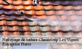Nettoyage de toiture chanteloup-les-vignes-78570 Entreprise Pierre