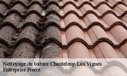 Nettoyage de toiture 78570