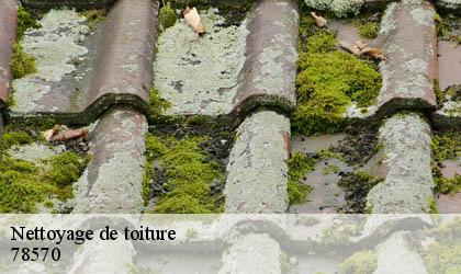 Nettoyage de toiture 78570